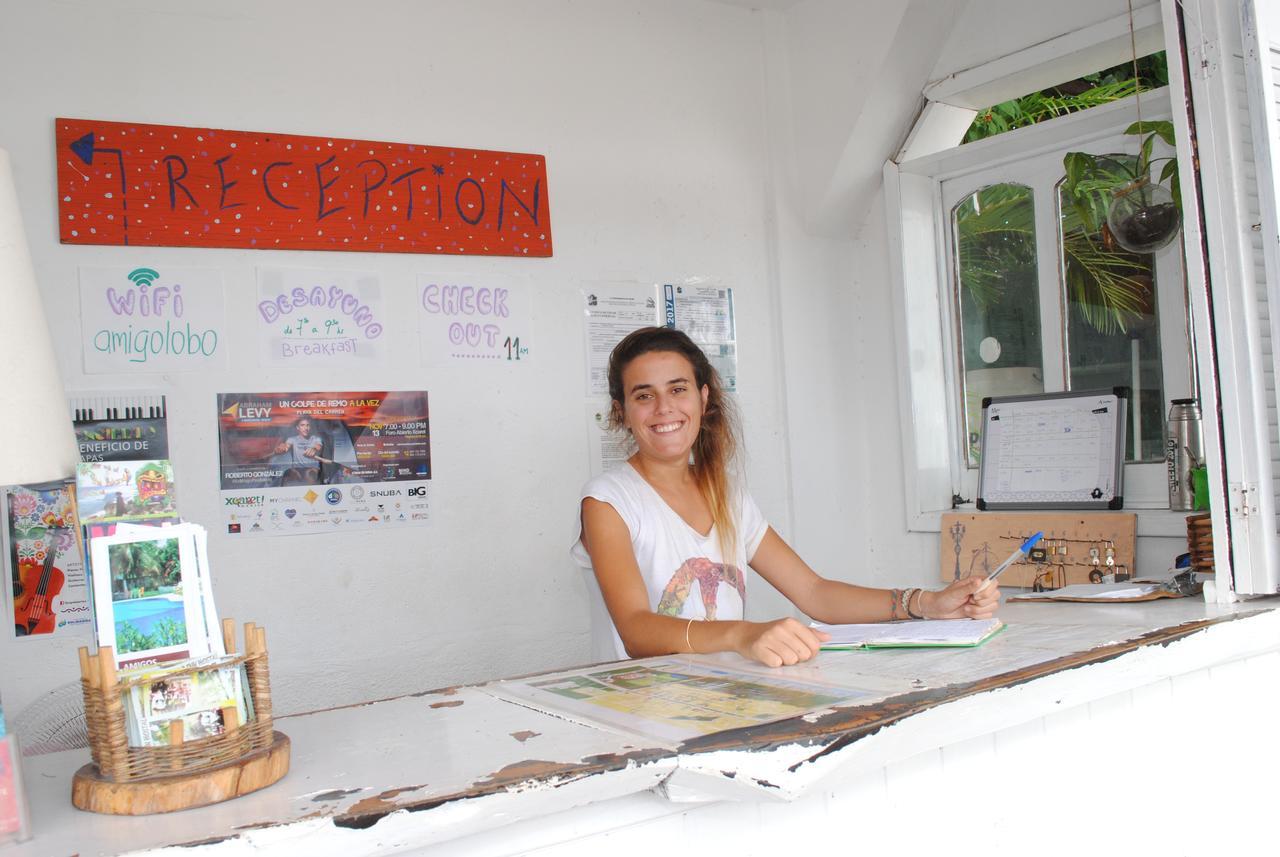 Lobo Inn Tulum تولوم المظهر الخارجي الصورة