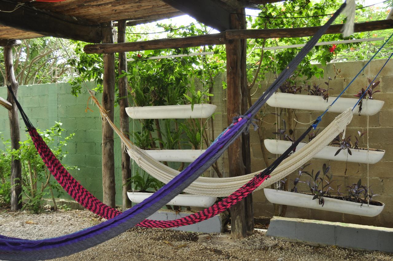 Lobo Inn Tulum تولوم المظهر الخارجي الصورة