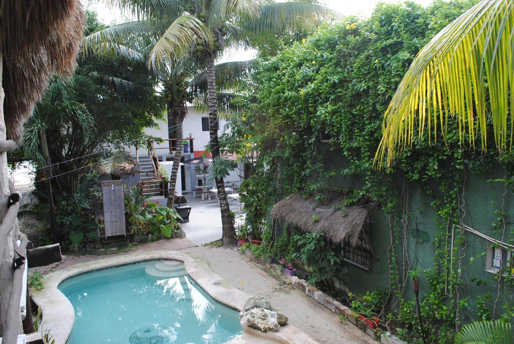 Lobo Inn Tulum تولوم المظهر الخارجي الصورة